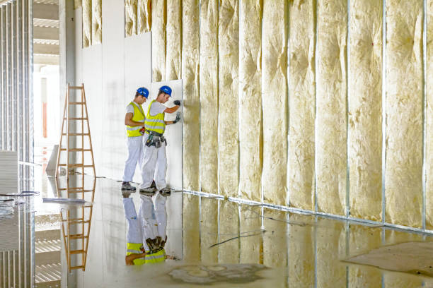 Best Residential Insulation in Oakhurst, OK